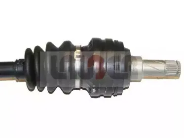 lauber-882256