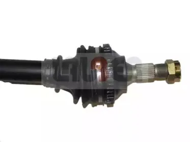 lauber-882261