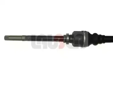lauber-882261