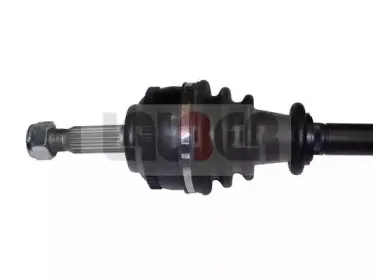 lauber-882277