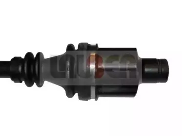 lauber-882277