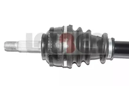 lauber-882278