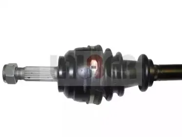 lauber-882286