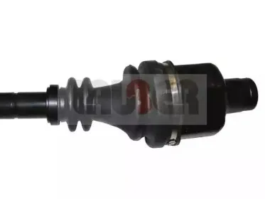 lauber-882286