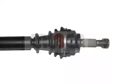 lauber-882288