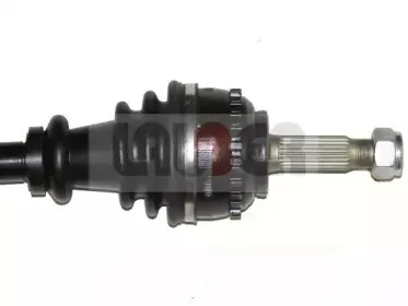 lauber-882291