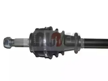 lauber-882292