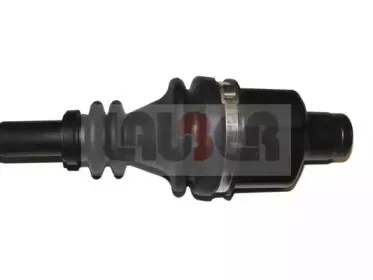 lauber-882292