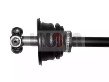 lauber-882293