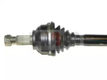 lauber-882295