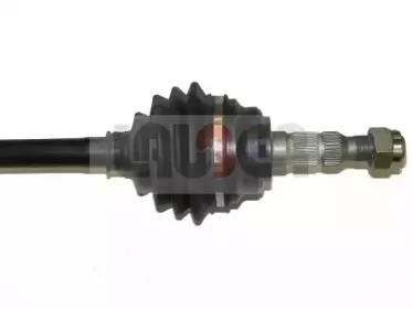 lauber-882301