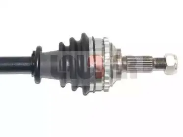 lauber-882305