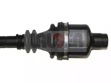 lauber-882308