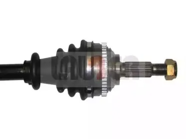 lauber-882310