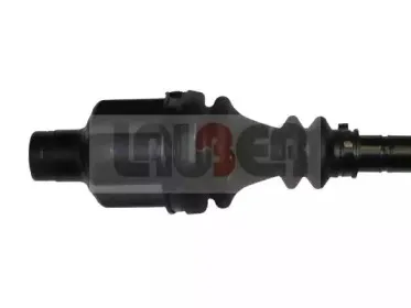 lauber-882310