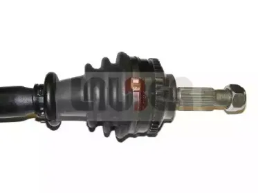lauber-882314