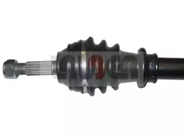 lauber-882325