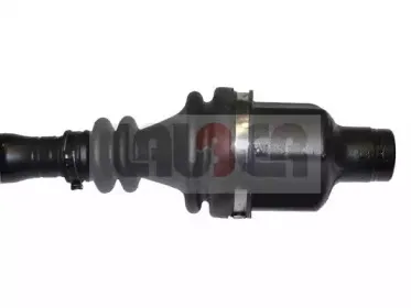 lauber-882325