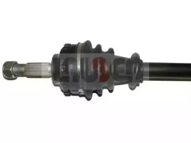 lauber-882326