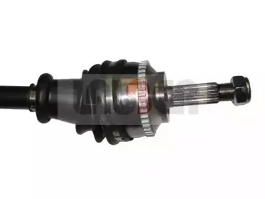 lauber-882327