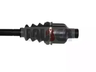 lauber-882327