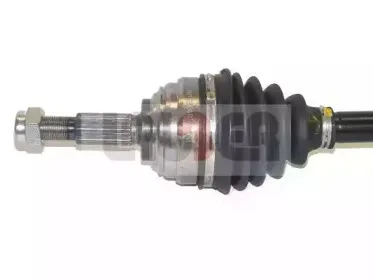 lauber-882328