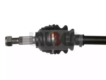 lauber-882329
