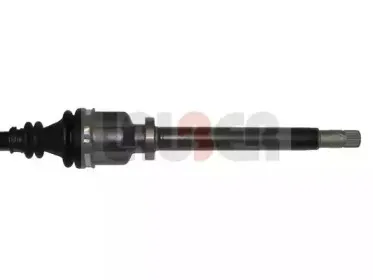 lauber-882329