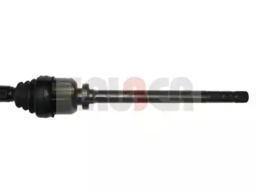 lauber-882331