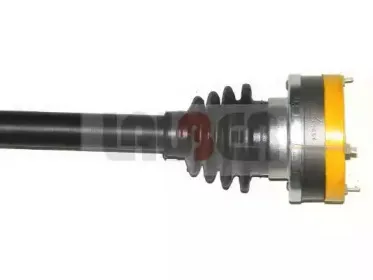 lauber-882344