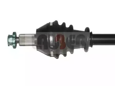 lauber-882344