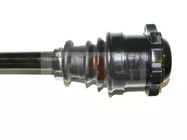 lauber-882345