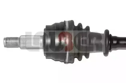 lauber-882467