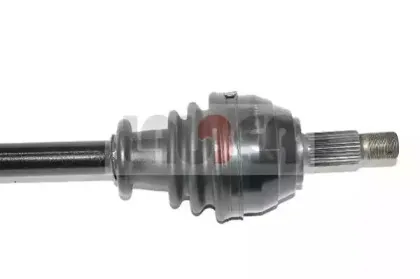 lauber-882484