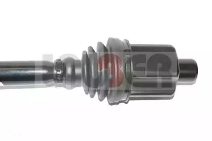 lauber-882497