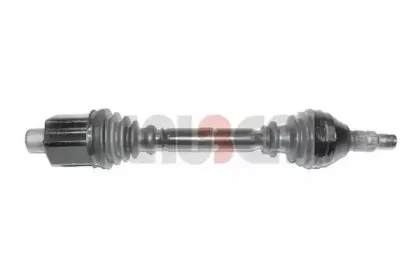 lauber-882501