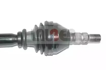 lauber-882501