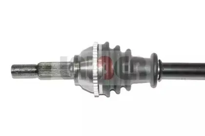 lauber-882519