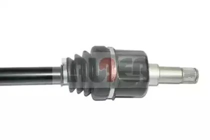 lauber-882519