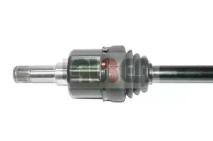 lauber-882520