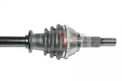 lauber-882520