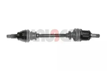 lauber-882523