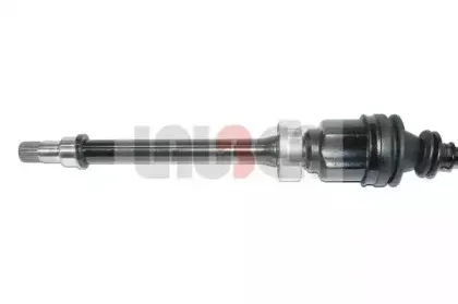 lauber-882524