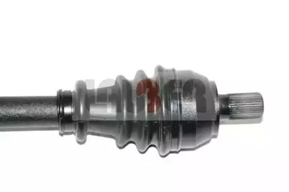 lauber-882527