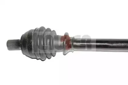 lauber-882528