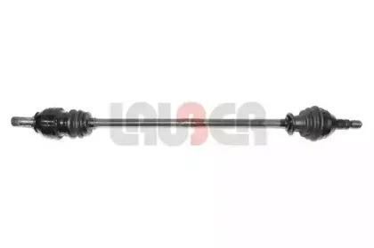 lauber-882529