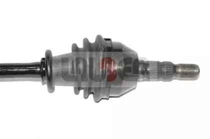 lauber-882529