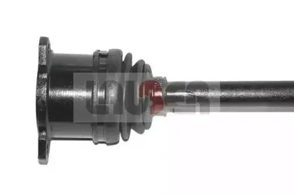 lauber-882535