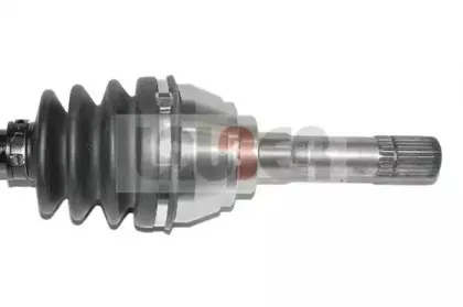 lauber-882535