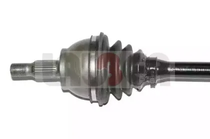 lauber-882537
